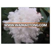 Polyester fiber 7D HCS